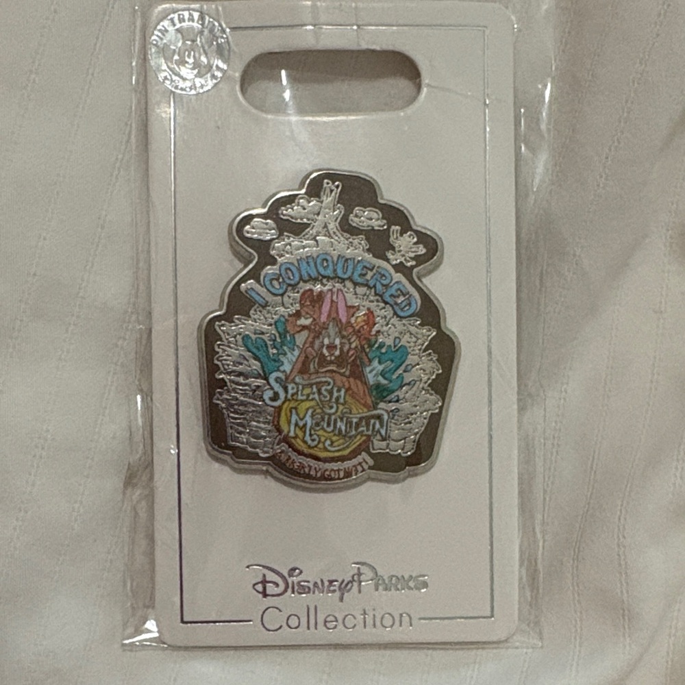 Disney Parks Splash Mountain Pin